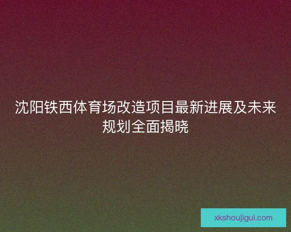沈阳铁西体育场改造项目最新进展及未来规划全面揭晓