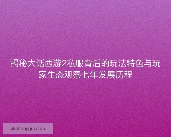 揭秘大话西游2私服背后的玩法特色与玩家生态观察七年发展历程